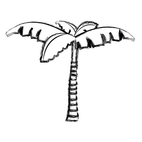 Гранж Тропической Пальмы Естественным Дизайном Векторной Иллюстрации — стоковый вектор