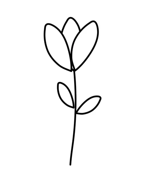 Niedliche Blume Gezeichnet Symbol Vektorillustration — Stockvektor