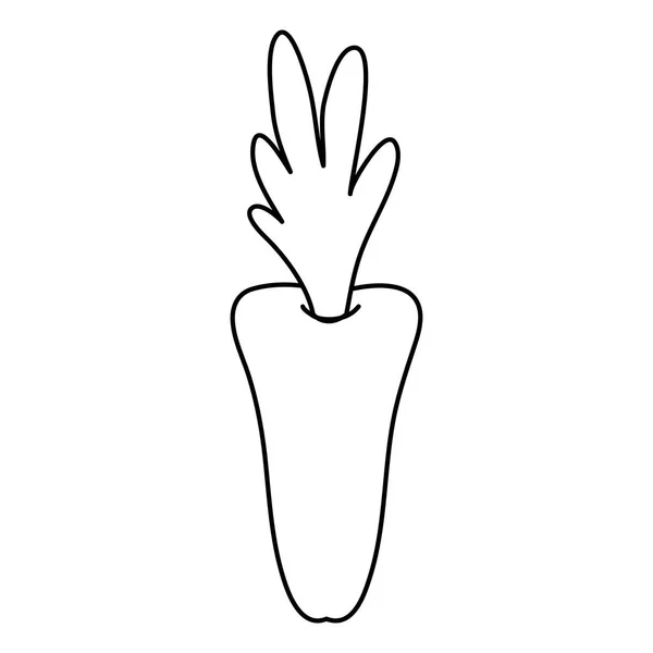 Линия Здоровой Свежей Морковью Овощные Векторные Иллюстрации — стоковый вектор