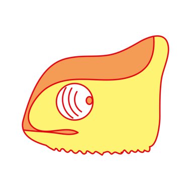 Duo renk egzotik bukalemun baş doğa hayvan vektör çizim