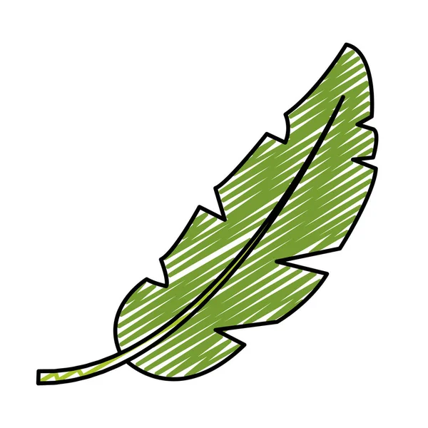 Doodle Φυσικά Φύλλα Βοτανικής Εξωτικό Στυλ Εικονογράφηση Διάνυσμα — Διανυσματικό Αρχείο