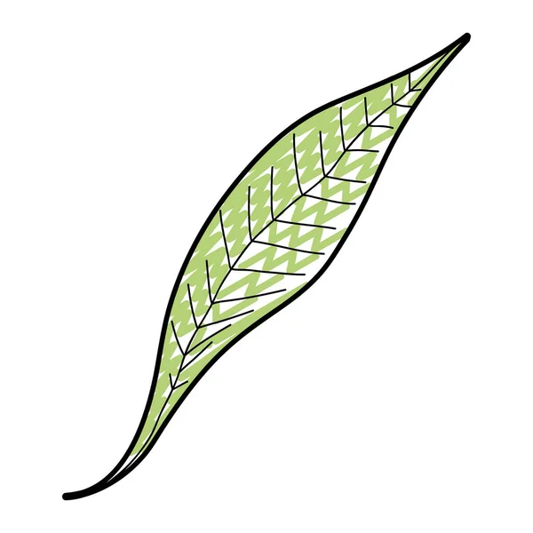 Dodle Nice Leaf Style Nature Tree Wector Illustration — стоковый вектор