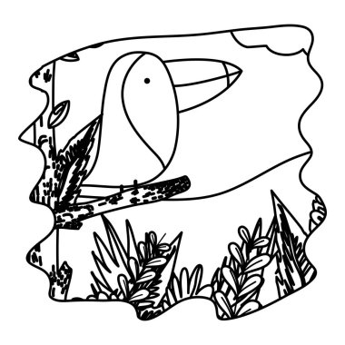 satır çok güzel toucan kuş hayvan orman vektör çizim