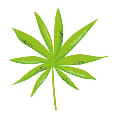 stil vektör çizim şube tropikal bitki yaprakları