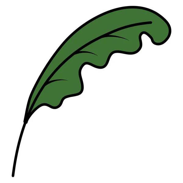 Χρώμα Εξωτικό Φύλλων Στυλ Βοτανικό Φυτό Εικονογράφηση Φορέα — Διανυσματικό Αρχείο