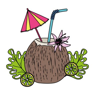 renk Hindistan cevizi içecek ve limon tropik bitkiler vektör çizim ile