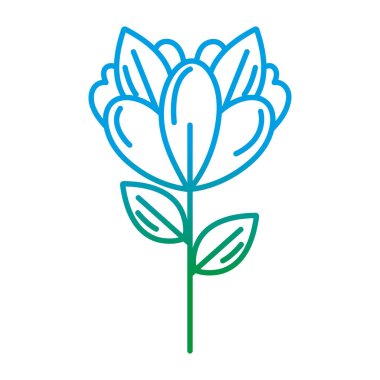 bozulmuş satır güzellik egzotik çiçek bitki yaprakları vektör çizim