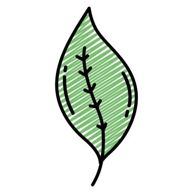 şirin botanik yaprak doğa stil vektör çizim doodle