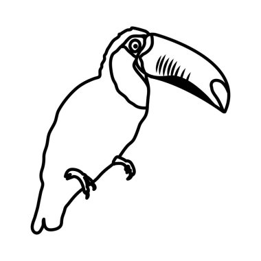 satır tropikal Pelikan kuş hayvan stil vektör çizim