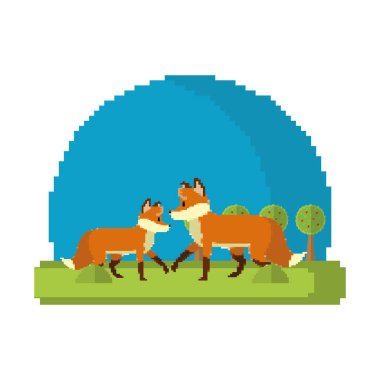 pixelated çift tilki vahşi hayvan vektör çizim