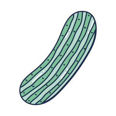 taze salatalık sağlıklı doğa sebze vektör çizim