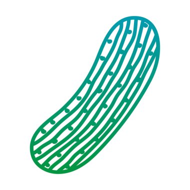 bozulmuş satır taze salatalık sağlıklı doğa sebze vektör çizim