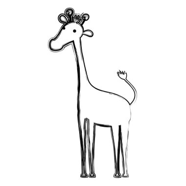 Grunge zürafa safari vahşi hayvan vektör çizim
