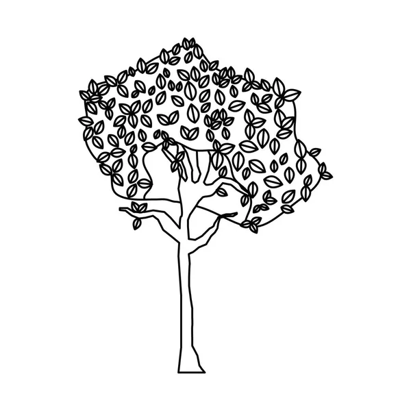 Satır Egzotik Ağaç Botanik Sapı Doğa Vektör Çizim — Stok Vektör