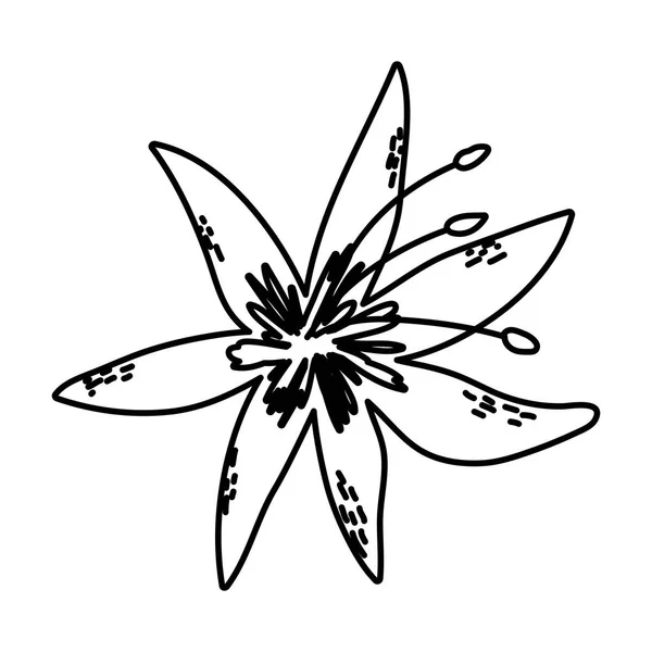 Línea Belleza Exótica Flor Con Pétalos Estilo Vector Ilustración — Archivo Imágenes Vectoriales