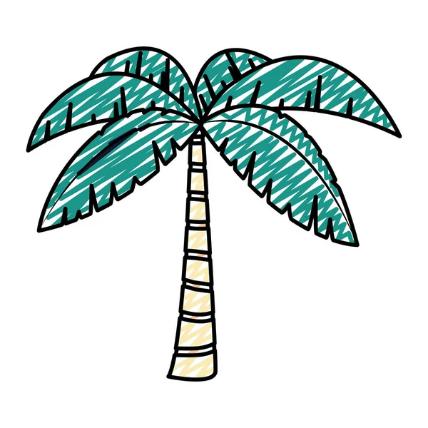 Doodle Palma Exótica Con Hojas Árbol Tropical Vector Ilustración — Archivo Imágenes Vectoriales