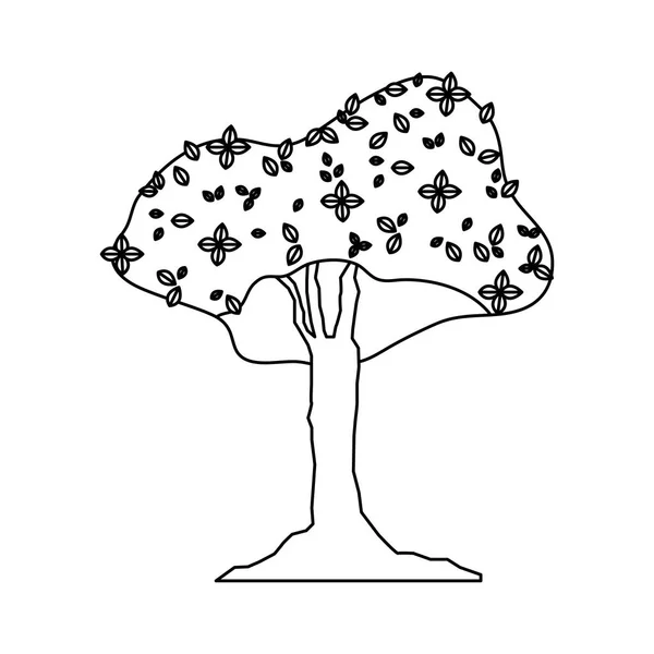 Line Nature Exotic Tree Stalk Botanic Vector Illustration — Stock Vector
