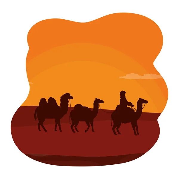 Человек Дромадере Верблюдом Векторной Иллюстрации Пустыни — стоковый вектор