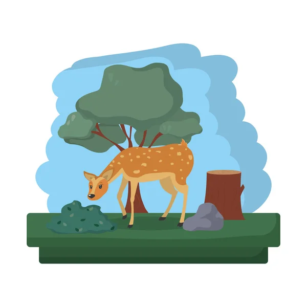 Famale Herten Wild Dier Reserve Vectorillustratie — Stockvector