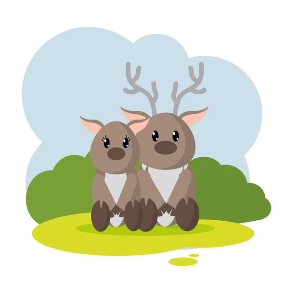 Couple Reindeer Wild Animal Landscape Vector Illustration — Stock Vector