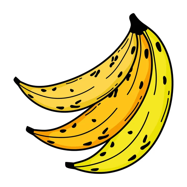Deliciosas Bananas Frutas Orgânico Vitamina Vetor Ilustração — Vetor de Stock