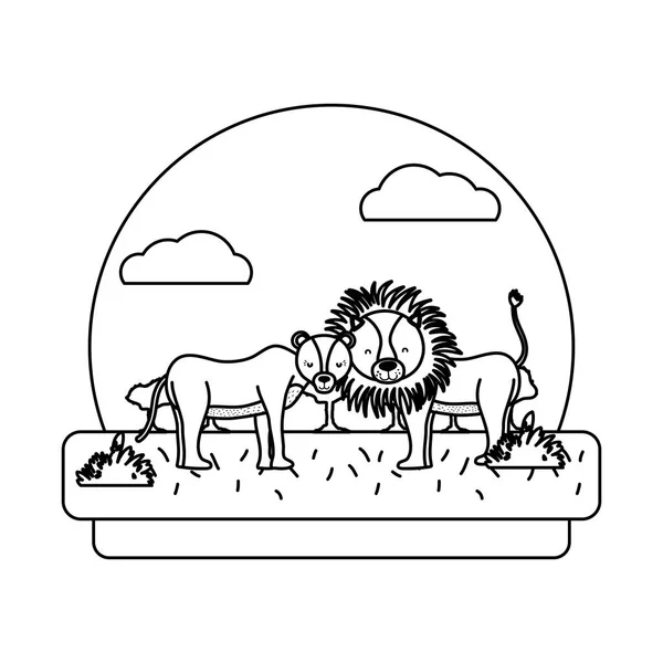 line adorable lion couple animal in the landscape vector illustration