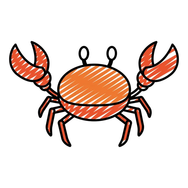Doodle Cute Crab Tropical Animal Sea Vector Illustration — Stock Vector