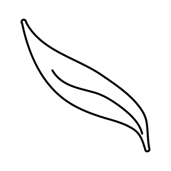 Ligne Botanique Tropicale Feuille Mignon Style Vectoriel Illustration — Image vectorielle
