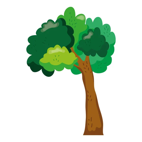Bom Caule Árvore Com Ramos Folhas Vetor Ilustração —  Vetores de Stock