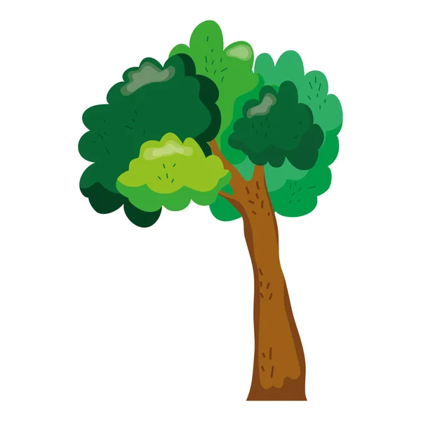 Bonito Tallo Árbol Con Ramas Hojas Vector Ilustración — Vector de stock