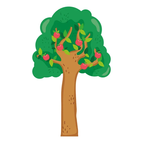 Szypułka Drzewa Ilustracji Wektorowych Zdrowe Owoce Jabłka — Wektor stockowy