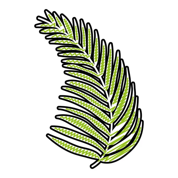 落書き椰子支店葉植物ベクトル図 — ストックベクタ
