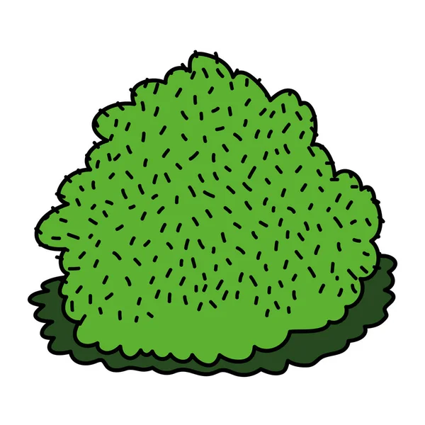 Χρώμα Φύσης Μπους Φυτό Εξωτικά Φύλλα Εικονογράφηση Διάνυσμα — Διανυσματικό Αρχείο