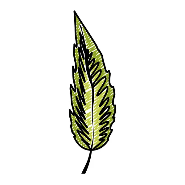 Doodle Egzotikus Botanikus Levél Természetes Növényi Vektoros Illusztráció — Stock Vector