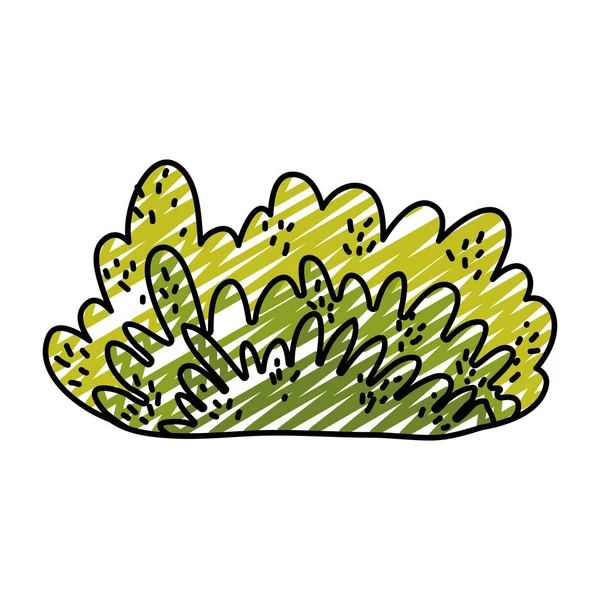 Doodle Nature Buisson Plante Avec Des Feuilles Exotiques Vecteur Illustration — Image vectorielle