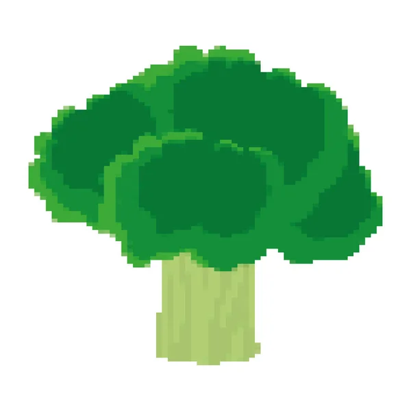 Illustrazione Vettoriale Vegetale Biologica Dei Broccoli Sani Pixelati — Vettoriale Stock