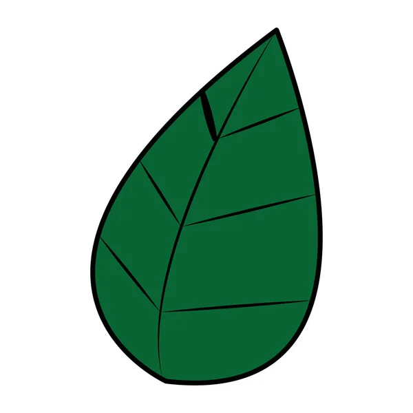Couleur Nature Feuille Exotique Botanique Plante Vecteur Illustration — Image vectorielle