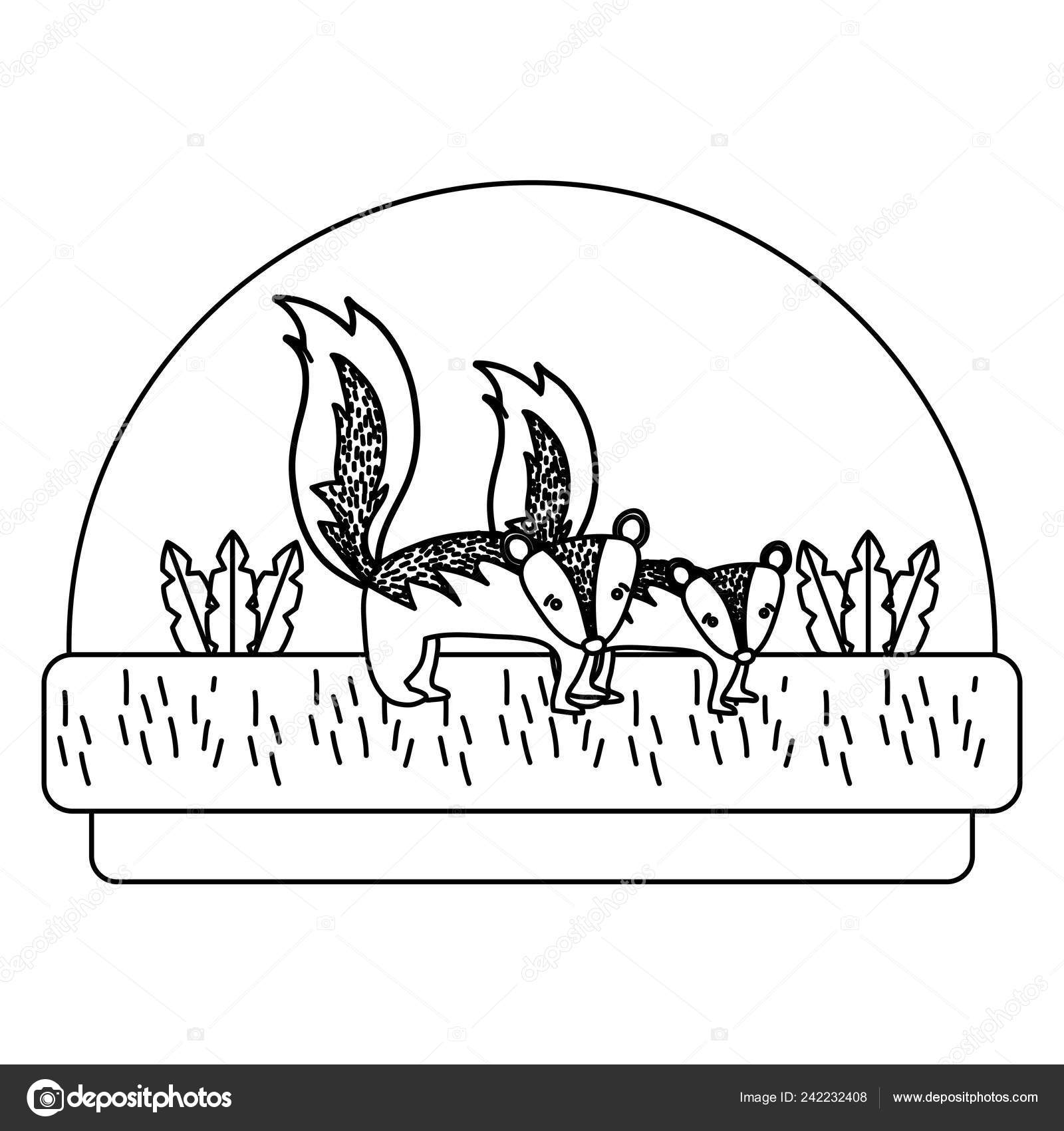 Line Couple Skunk Cute Animal Countryside Vector Illustration Stock