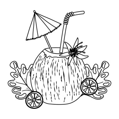 satır Hindistan cevizi içecek ve limon tropik bitkiler vektör çizim ile