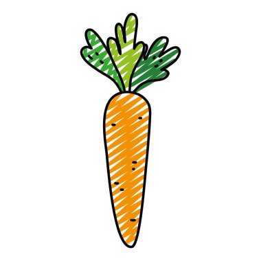 Doodle sağlıklı havuç organik sebze madde vektör çizim