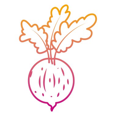 bozulmuş satır sağlıklı soğan taze organik sebze vektör çizim