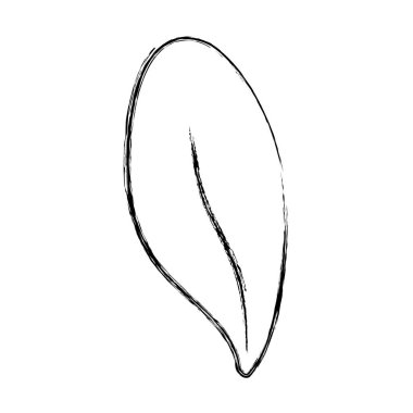 Grunge şirin tropikal yaprak botanik stil vektör çizim