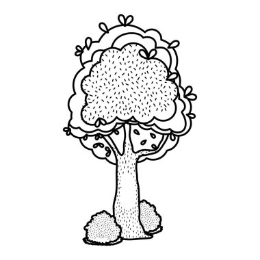 satır güzellik ağaç SAP yaprak ve çalılar vektör çizim ile