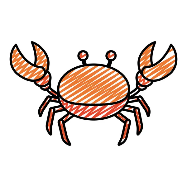 Doodle Mooi Krab Tropische Zee Dier Vectorillustratie — Stockvector