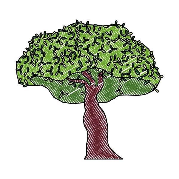 Каракули Тропических Деревьев Ботанические Векторные Иллюстрации — стоковый вектор