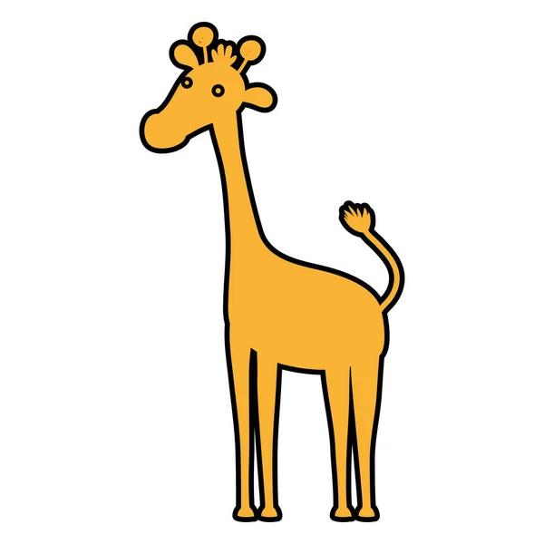 Cor Girafa Safari Selvagem Animal Vetor Ilustração —  Vetores de Stock