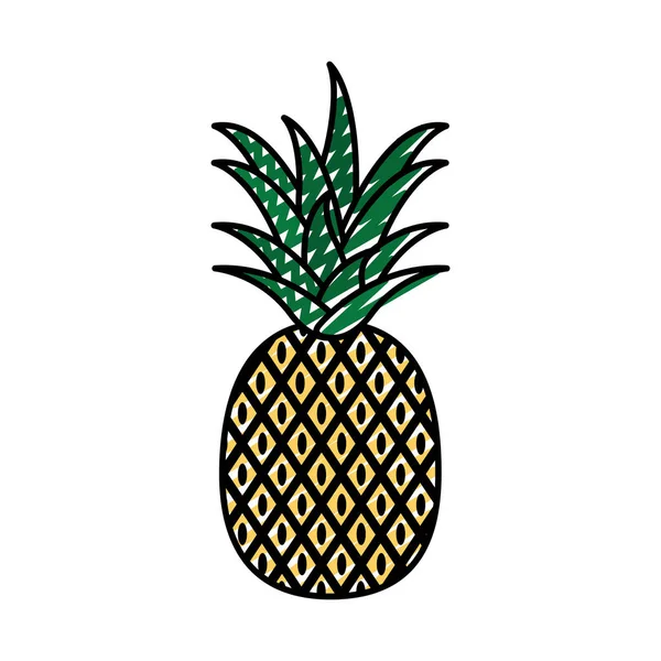 Gribouille Délicieux Ananas Fruits Biologiques Illustration Vectorielle Nutrition — Image vectorielle