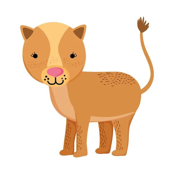 Mignon Femelle Lion Animal Sauvage Vecteur Illustration — Image vectorielle