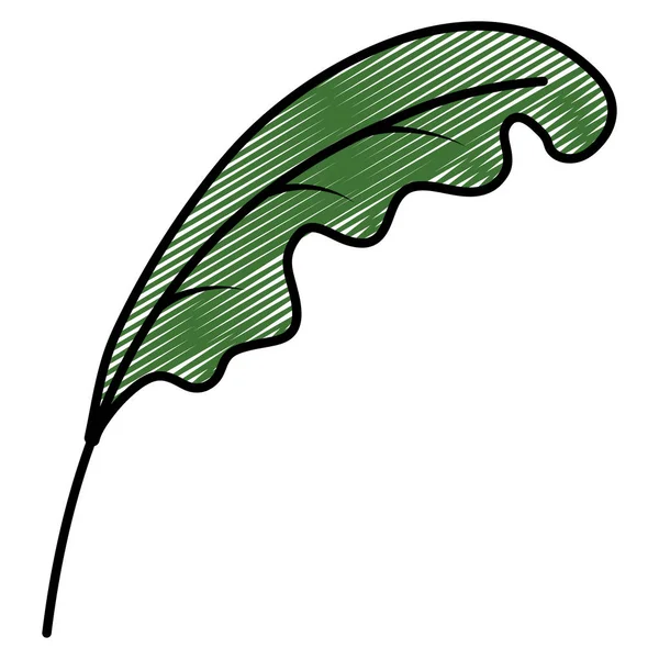 Doodle Exotiska Blad Stil Botaniska Växt Vektorillustration — Stock vektor