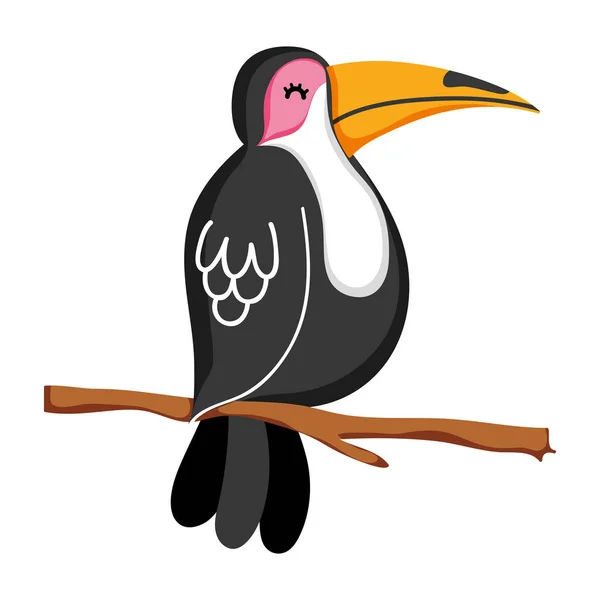 Pájaro Exótico Con Plumas Belleza Rama Vector Ilustración — Vector de stock